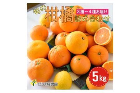 特選 旬の柑橘詰め合わせ 5kg（B882-5）