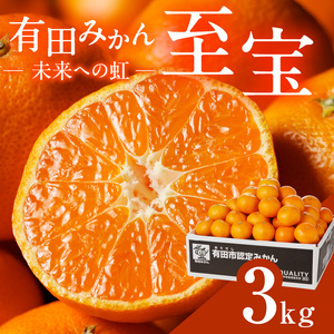 有田市認定みかん「未来への虹」至宝(3kg)【日本初自治体認定フルーツ】(B327-2)