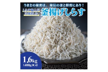 しらす職人が目利きした「釜揚げしらす」１.６ｋｇ(B535-2)