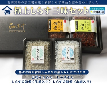 極上しらす三昧セット（4種詰め合わせ）(B676-3)