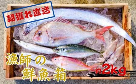 漁師の鮮魚箱（約2kg）(B669-2)