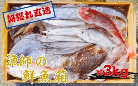 漁師の鮮魚箱（約3kg）(B889-3)