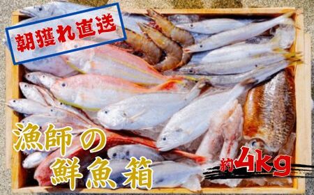 漁師の鮮魚箱（約4kg）(B890-3)