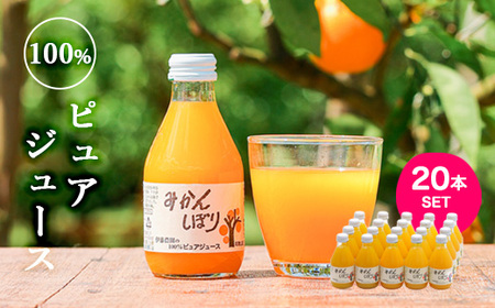 伊藤農園 100％ピュアジュース みかんしぼり180ml×20本(B442-3)