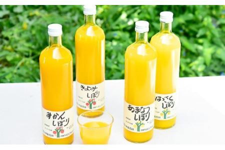伊藤農園 100%ピュアジュース飲み比べ750ml×9本セット（B79-3）
