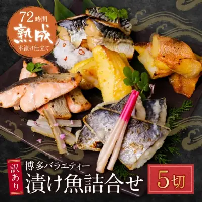 Z61-76 寄附額改定↓↓ 訳あり 博多バラエティー漬け魚詰合せ 5切 魚