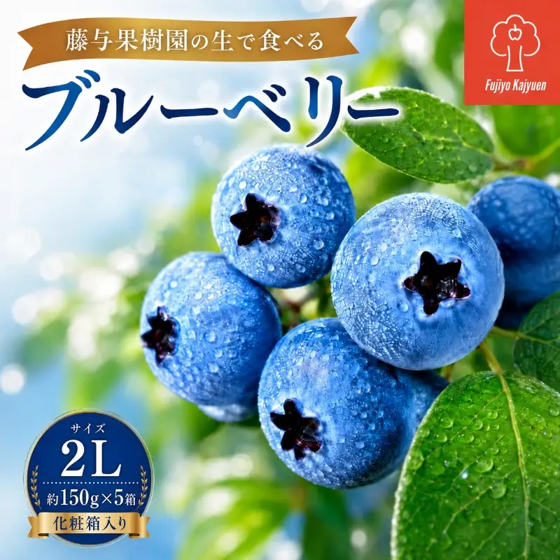ブルーベリー 2Lサイズ 150g×5 大粒 生ブルーベリー 藤与果樹園 fujiyoB002