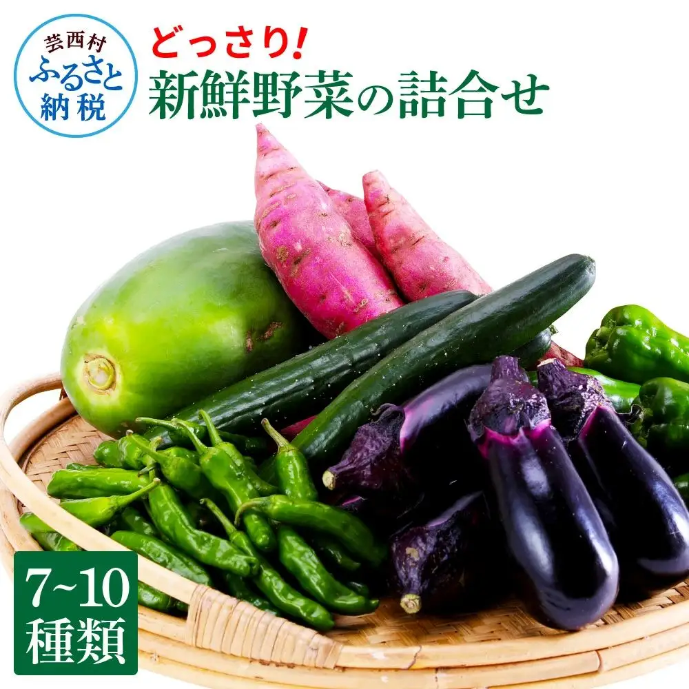 【先行予約】どっさり！新鮮野菜の詰合せ 7～10種類 