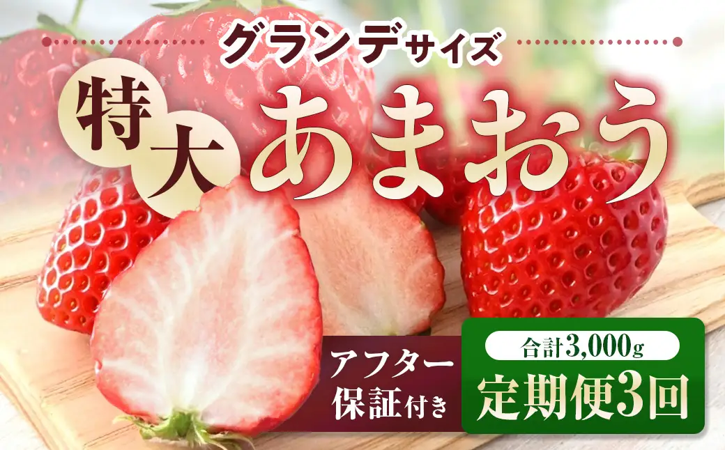 定期便全3回 福岡県産 あまおう 合計3000g 先行予約 2027年1月・2月・3月発送予定　BA008-3