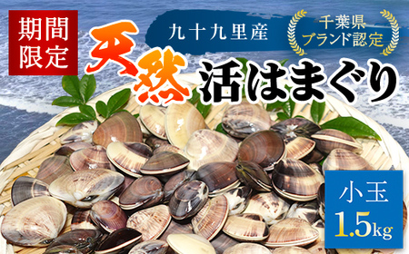 ＜先行受付/2026年5月より配送＞【千葉県ブランド認定】天然活はまぐり（小玉）《1.5㎏》／ふるさと納税 はまぐり ハマグリ 蛤 貝類 魚介 海鮮 お吸い物 パスタ パエリア お歳暮 贈答 お祝い 千葉県 山武市 SMBO001