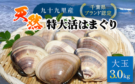 【千葉県ブランド認定】天然特大活はまぐり《3㎏》ギフトBOX付き／ふるさと納税 はまぐり ハマグリ 蛤 貝類 魚介 海鮮 お吸い物 パスタ パエリア お歳暮 贈答 お祝い 千葉県 山武市 SMBO006