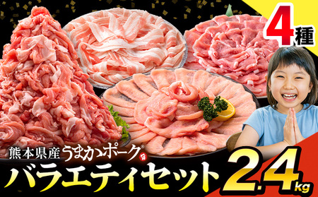 豚肉 バラエティセット 2.4kg 豚バラ 豚肉