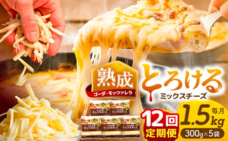 【12回定期便】 とろけるチーズ ミックスチーズ 300g×5袋[AEAA005]