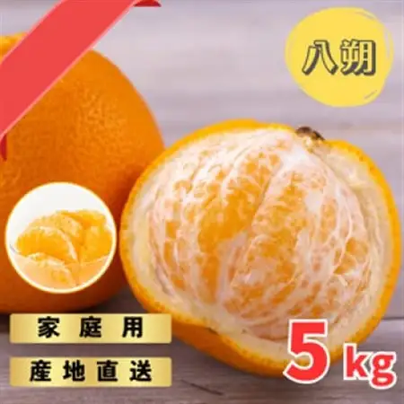 和歌山産　家庭用 完熟木なりハッサクみかん(八朔)　約5kg　M～2Lサイズ【訳あり・ご家庭用】【1520390】