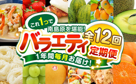 【12回定期便】グルメバラエティ定期便 贅沢宝庫 [SDZ038] バラエティ定期便