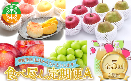 2026年先行予約 【定期便 5回】フルーツ食べ尽し定期便A 桃 白桃 黄桃 すもも 秋姫 シャインマスカット ぶどう ラ・フランス 梨 洋梨 りんご リンゴジュース 果物 山形県 中山町 F4A-0442