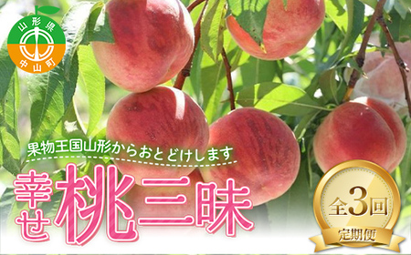 2026年先行予約 【定期便 3回】幸せ♪桃三昧 白桃 黄桃 果物 フルーツ 山形県 中山町 F4A-0444
