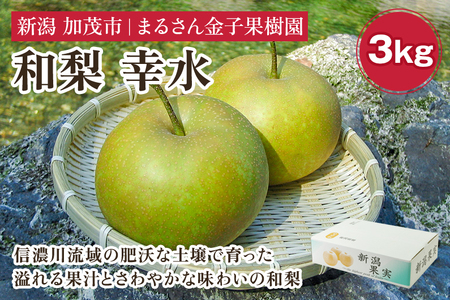 【2026年先行予約】【贈答用】和梨 幸水 3kg（7～10玉）《8月中旬から順次発送》 果物 なし 梨 フルーツ 新鮮 新潟のフルーツ産地 加茂市 まるさん金子果樹園 梨