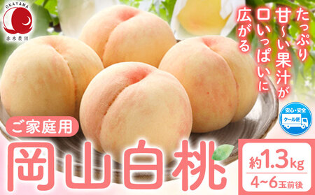ご家庭用 岡山白桃 約1.3kg 赤木農園   
