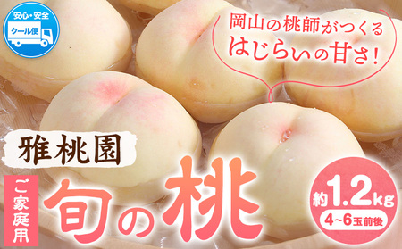 ご家庭用 旬の桃 約1.2kg (4~6玉前後) 株式会社創・和(雅桃園) 