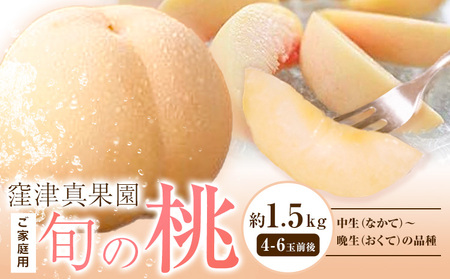 【2026年発送】桃 ご家庭用 旬の桃 約1.5kg 窪津真果園