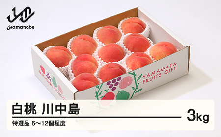【先行予約】もも 桃 川中島白桃 特選品 約3kg(6~12個程度) 2026年産 山形県産 tf-moknt3