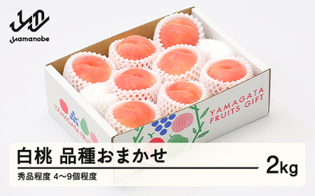 【先行予約】もも 桃 品種おまかせ 白桃 秀品程度 約2kg(4~9個程度) 2026年 山形県産 tf-moyws2