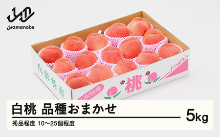 【先行予約】もも 桃 品種おまかせ 白桃 秀品程度 約5kg(10~25個程度) 2026年産 山形県産 tf-moyws5