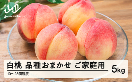【先行予約】もも 桃 品種おまかせ 白桃 ご家庭用 約5kg(10~25個程度) 2026年 山形県産 tf-moywm5