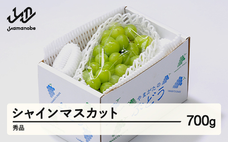 【先行予約】ぶどう シャインマスカット 秀品 約700g以上(1~2房程度) 山形県産 tf-busmx700