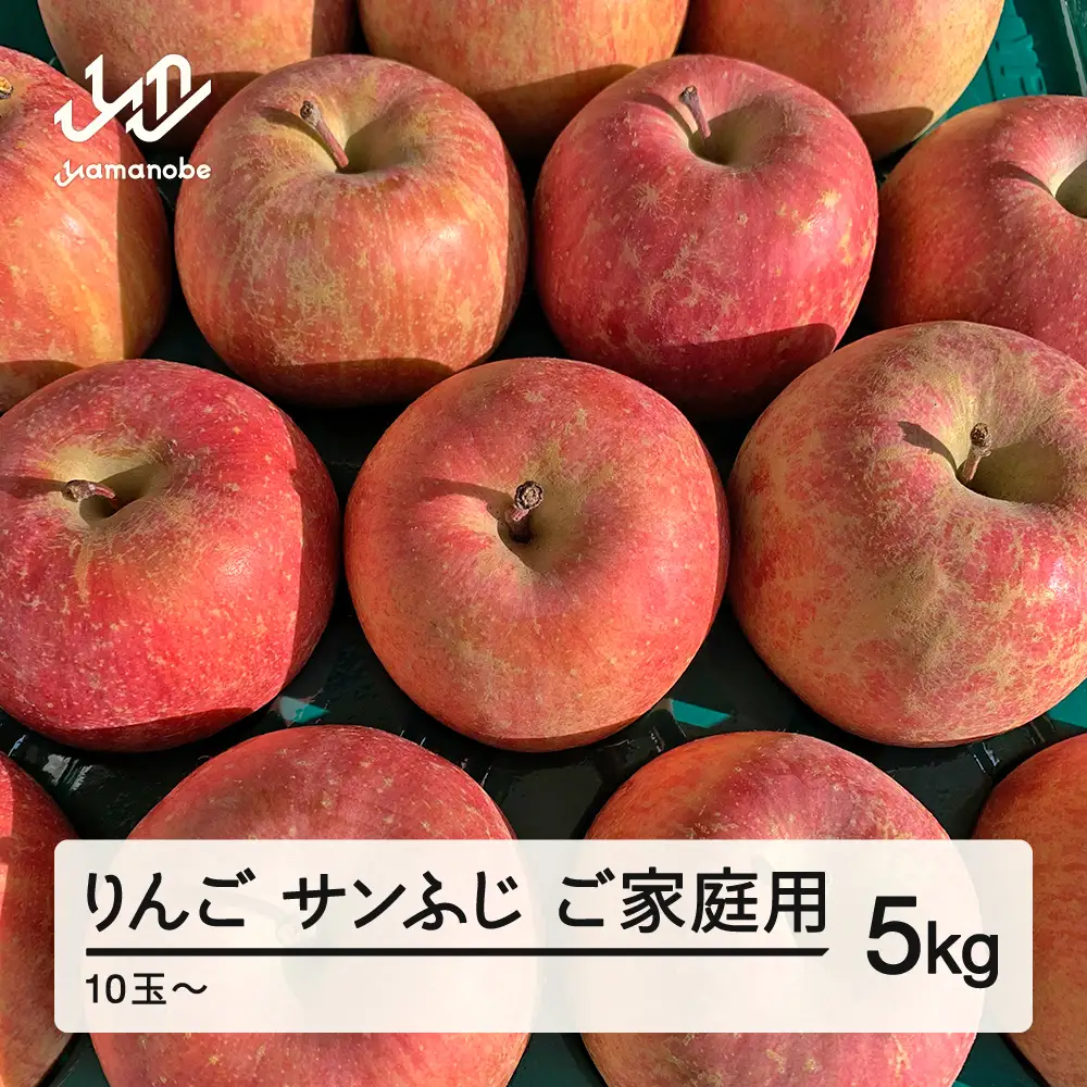 【先行予約】りんご サンふじ ご家庭用 2026年産 約5kg(10~20個程度) 山形県産 tf-risfm5
