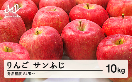 【先行予約】りんご サンふじ 秀品程度 約10kg(24~50玉) 山形県産 tf-risfs10