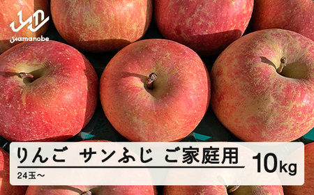 【先行予約】りんご サンふじ ご家庭用 約10kg(24~50玉) 山形県産 tf-risfm10