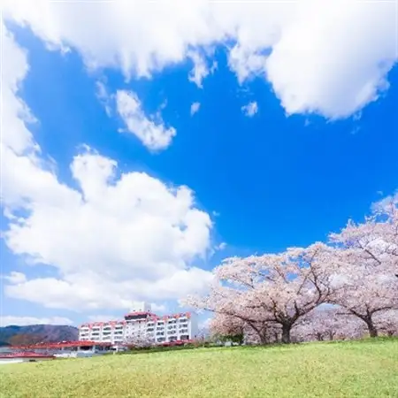 グリーンピア三陸みやこ　ペア宿泊券_旅行券・チケット 宿泊券  _【1253735】