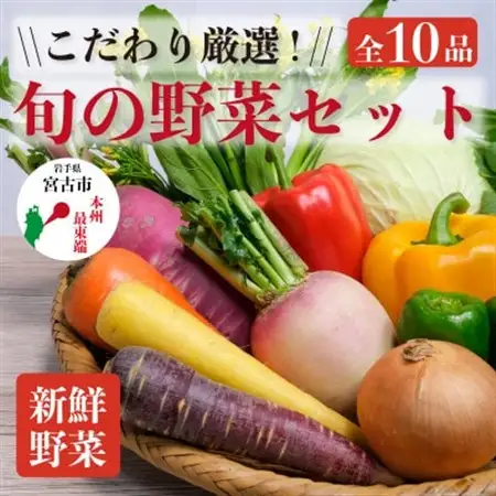 【新鮮野菜】こだわり厳選!旬の野菜セット_野菜   _【配送不可地域：離島・北海道・沖縄県】【1374254】