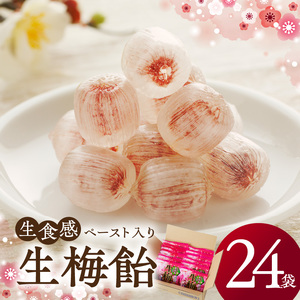 生梅飴[109R02] 梅飴 梅キャンディ 紀州 南高梅 梅肉エキス ペースト お菓子 あめ キャンディー 飴 個包装 袋 リボン RIBON