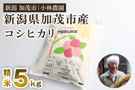 【令和8年産新米先行予約】加茂市小林農園のコシヒカリ 5kg（5kg×1袋）《9月中旬～順次出荷》 新潟産コシヒカリ