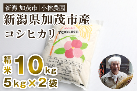 【令和8年産新米先行予約】加茂市小林農園のコシヒカリ 10kg（5kg×2袋）《9月中旬～順次出荷》 新潟産コシヒカリ