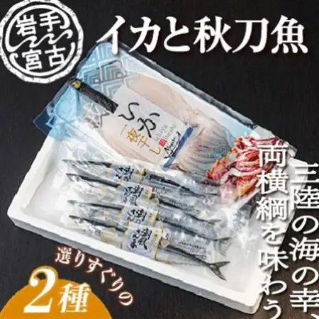 いか一夜干し1p・潮風さんま4本 2種セット_魚介・海産物 イカ  いか 烏賊  魚介・海産物     魚介・海産物  干物 _【配送不可地域：離島】【1462811】