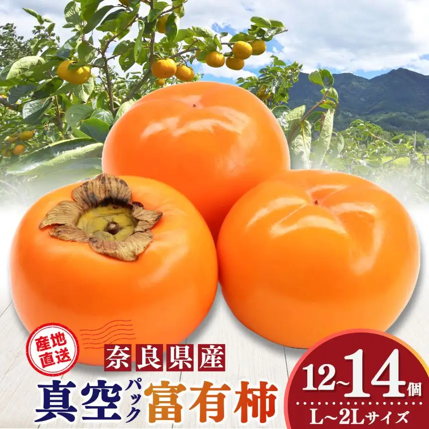 貯蔵 富有柿 12 個～14 個 L～2L サイズ | 果物 柿 