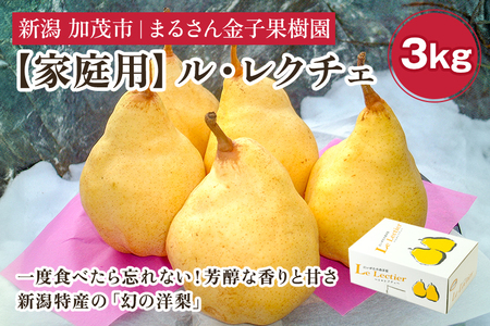【2026年先行予約】【家庭用】ル・レクチェ 3kg（8～11玉）《11月下旬から順次発送》 果物 梨 洋梨 西洋梨 フルーツ 訳あり 冬の味覚 デザート 産地直送 加茂市 まるさん金子果樹園 梨