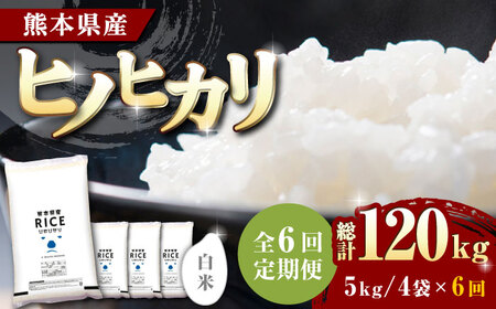〈令和7年度産米〉 【全6回定期便】 ヒノヒカリ 白米 20kg【株式会社 農産ベストパートナー】 令和7年産 [ZBP115]