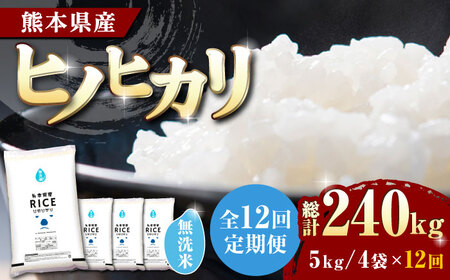 〈令和7年度産米〉 【全12回定期便】 ヒノヒカリ 無洗米20kg【株式会社 農産ベストパートナー】 令和7年産 [ZBP120]