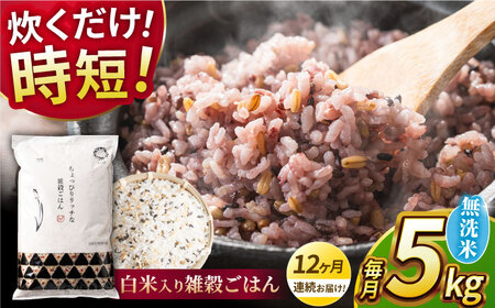 〈令和7年度産米〉 【全12回定期便】 水研ぎ不要 雑穀ごはん 無洗米 5kg 【株式会社 農産ベストパートナー】 令和7年産 [ZBP148]