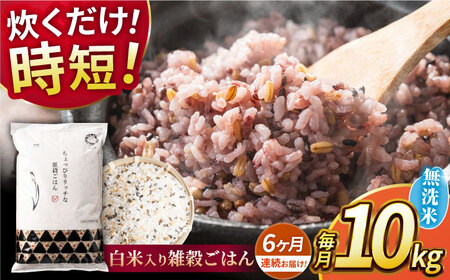 〈令和7年度産米〉 【全6回定期便】 水研ぎ不要 雑穀ごはん 無洗米 10kg 【株式会社 農産ベストパートナー】 令和7年産 [ZBP151]