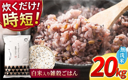 〈令和7年度産米〉 水研ぎ不要 雑穀ごはん 無洗米 20kg 【株式会社 農産ベストパートナー】 令和7年産 [ZBP153]
