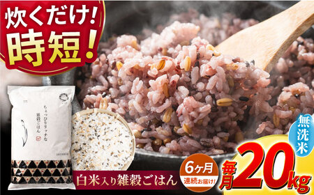 〈令和7年度産米〉 【全6回定期便】 水研ぎ不要 雑穀ごはん 無洗米 20kg 【株式会社 農産ベストパートナー】 令和7年産 [ZBP155]