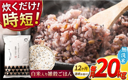 〈令和7年度産米〉 【全12回定期便】 水研ぎ不要 雑穀ごはん 無洗米 20kg 【株式会社 農産ベストパートナー】 令和7年産 [ZBP156]