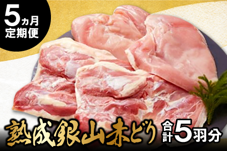 【熟成】銀山赤どり精肉定期便（１羽分×５回お届け）【鶏肉 モモ肉 ムネ肉 1羽分 まるごと 1kg～1.2kg 5回 合計5羽分 定期便 定期 鶏 地鶏 赤鶏 赤どり 熟成 真空パック 真空 国産 島根県 大田市】
