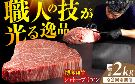 【2回定期便】ヒレ シャトーブリアン 200g×5枚 / 和牛 シャトーブリアン[AFBV029]